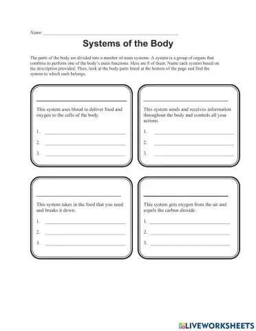 Body Systems