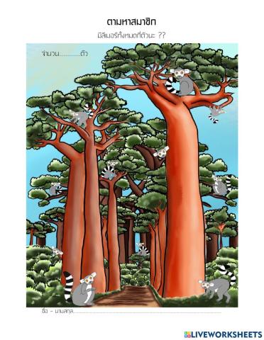 ตามหาสมาชิก