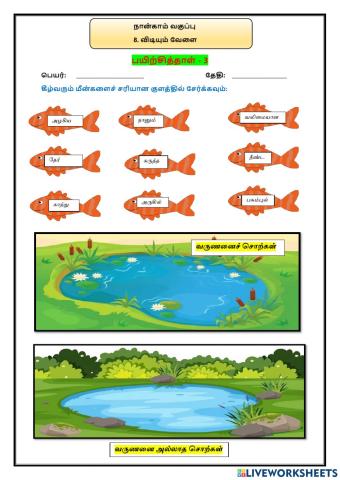 8. விடியும் வேளை -  பயிற்சித்தாள் 3