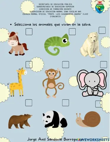 Los animales de la selva