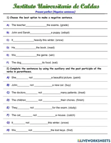 Present perfect negative 2