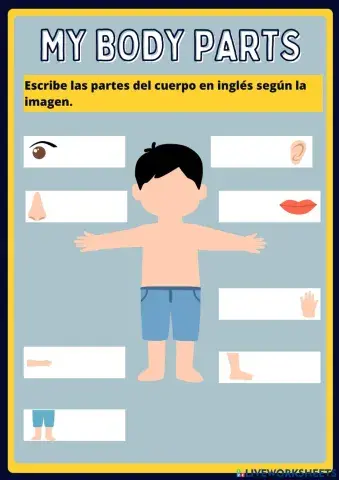 Partes del cuerpo