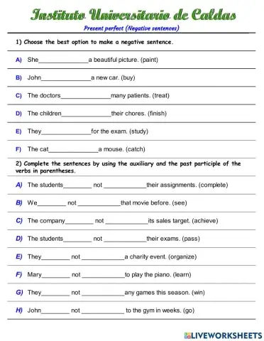 Present perfect negative 3