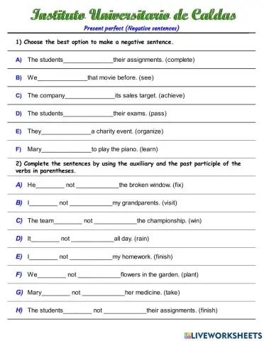 Present perfect negative 4