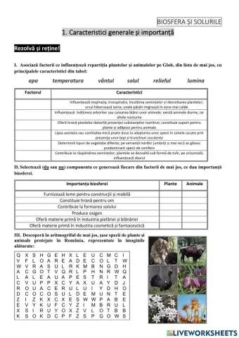 Biosfera și solurile