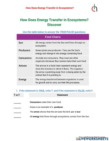 How Dose Energy Transfer in Ecosystem