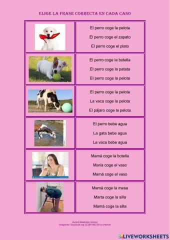 Elige la frase correcta