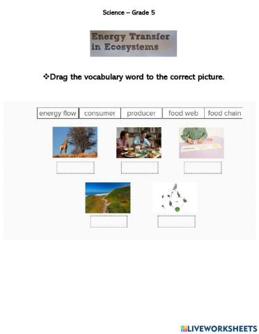 Lesson 3 - Vocabulary