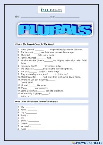 Istct-unit 5-PLURAL NOUNS