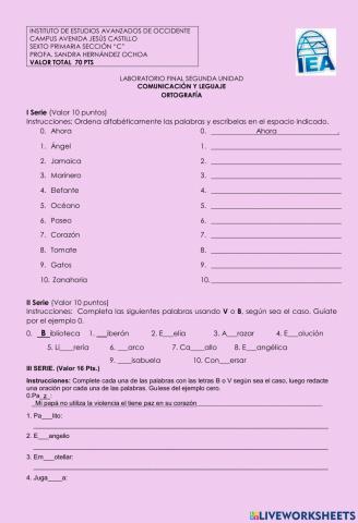 Ortografía final IIU