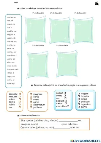 5 declinaciones latinas repaso mayo