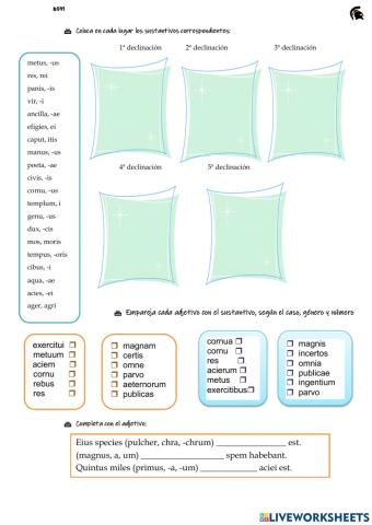 5 declinaciones latinas repaso mayo