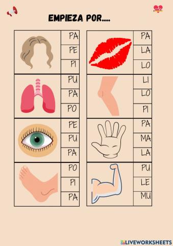 Un viaje por mi cuerpo