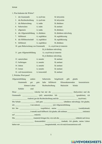 Anfroderungen an die Schule - Deustch Ungarisch