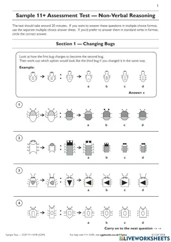 Non Verbal Reasoning