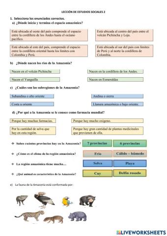 Leccion de estudios sociales amazonia