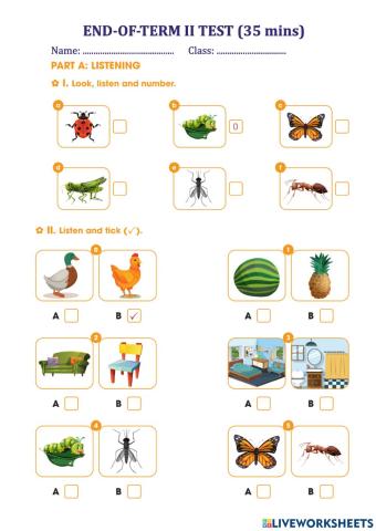 End of term II test drade 3