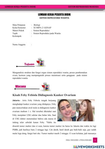 Sistem Reproduksi Wanita