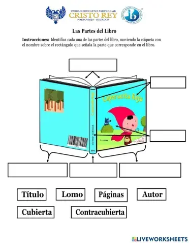 El libreo