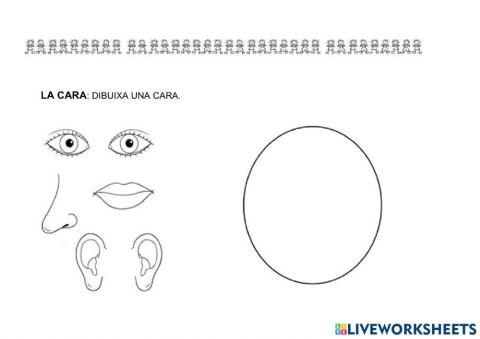 La cara