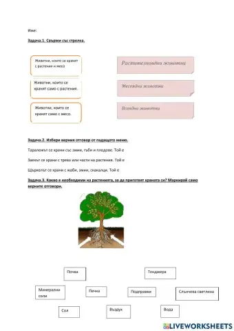 ЧП-Хранене на растения и живонтни- Данита Попова