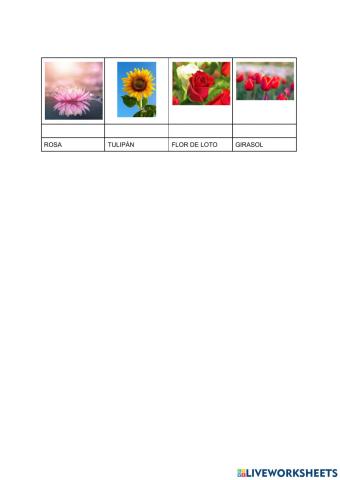 Une la flor con su nombre