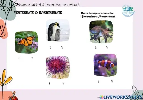 5è-MN-PJ-PE-6C Prova vertebrats-invertebrats