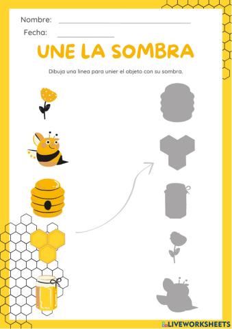 Ficha sobre las abjeas