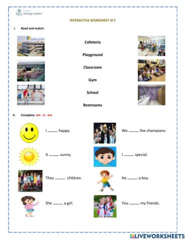 Interactive Worksheet N°1