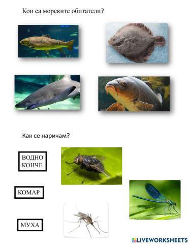 Животът във водата