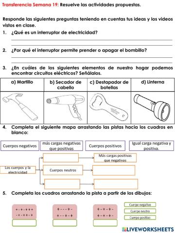 C.N-Transferencia Semana 19