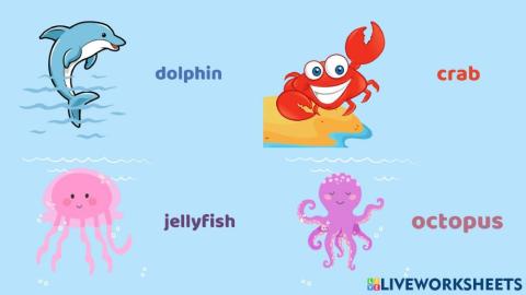 Sea animals