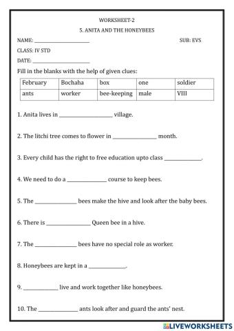 Anita and the honeybees