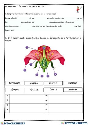 La reproducción sexual de las plantas