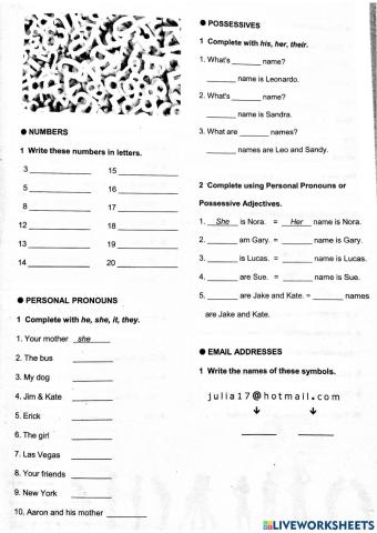 Hw - p pronouns and p adjectives