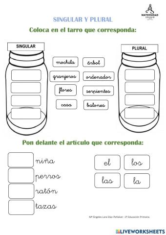 Singular y plural