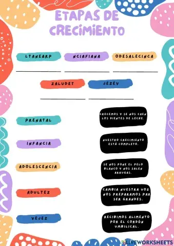 Etapas del crecimiento