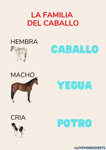 La familia del caballo