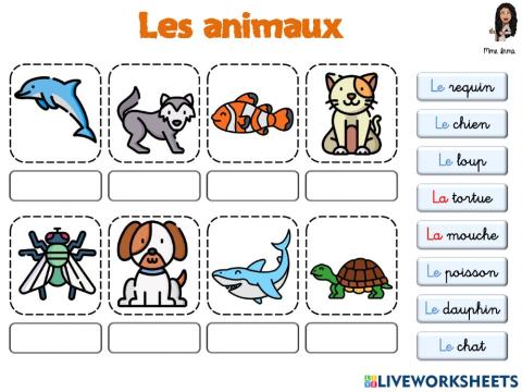 Les animaux (vocabulaire)