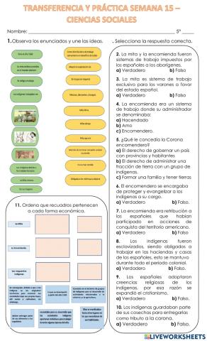 Transferencia semana 15