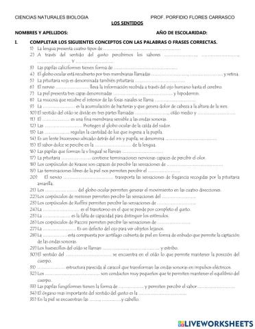 Organos de los sentidos