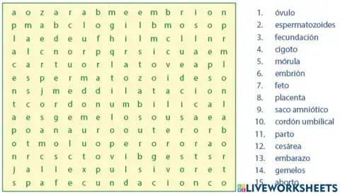 Sopa de letras de embarazo