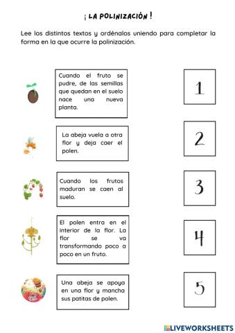 La polinización