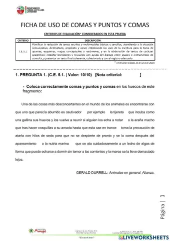 Uso de comas y puntos y comas campo semántico