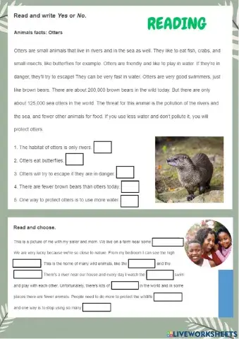 Reading and Writing evaluation Bimester 2