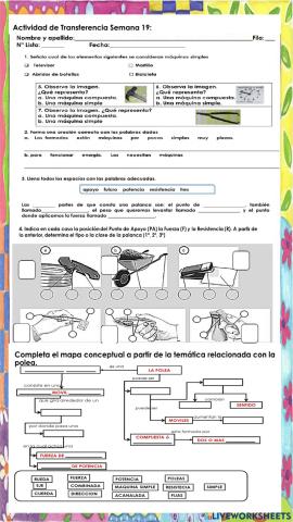 Act Transferencia Sem 19