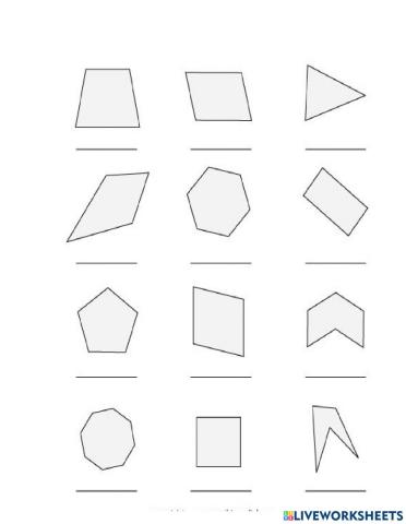 Polygons