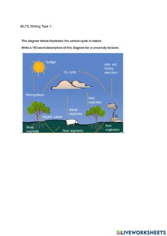 Ielts Academic Writing