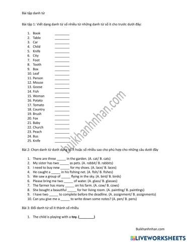Bài tập danh từ (noun exercises)