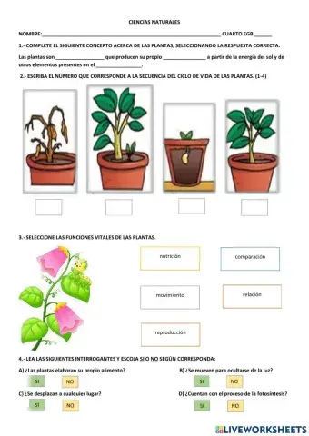 Las plantas